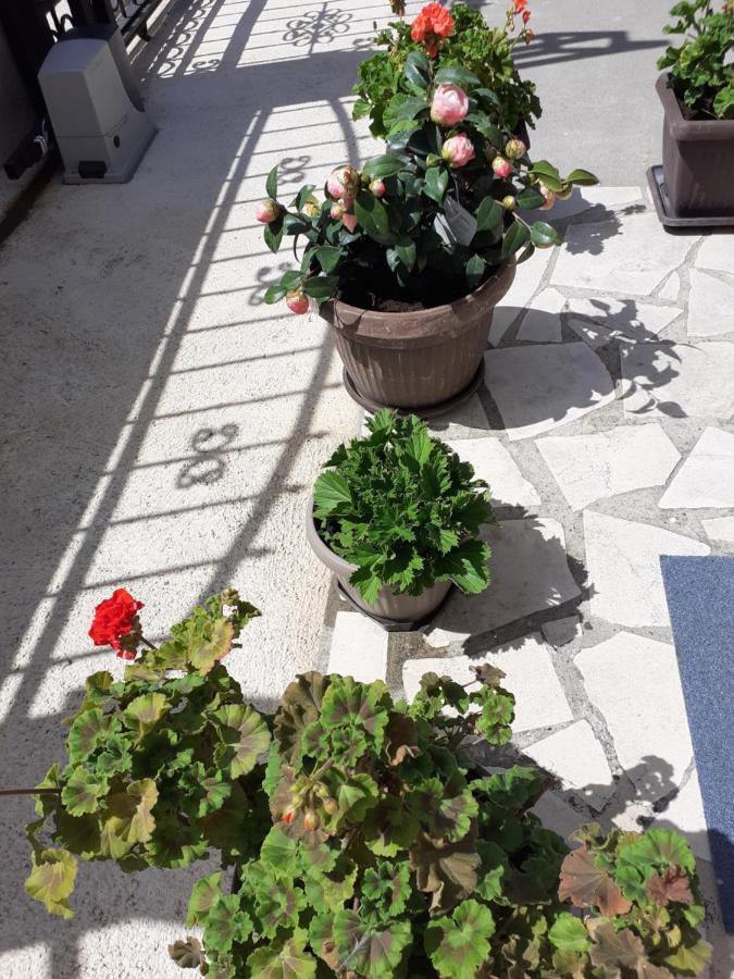 Apartment K2 Radanovići Esterno foto