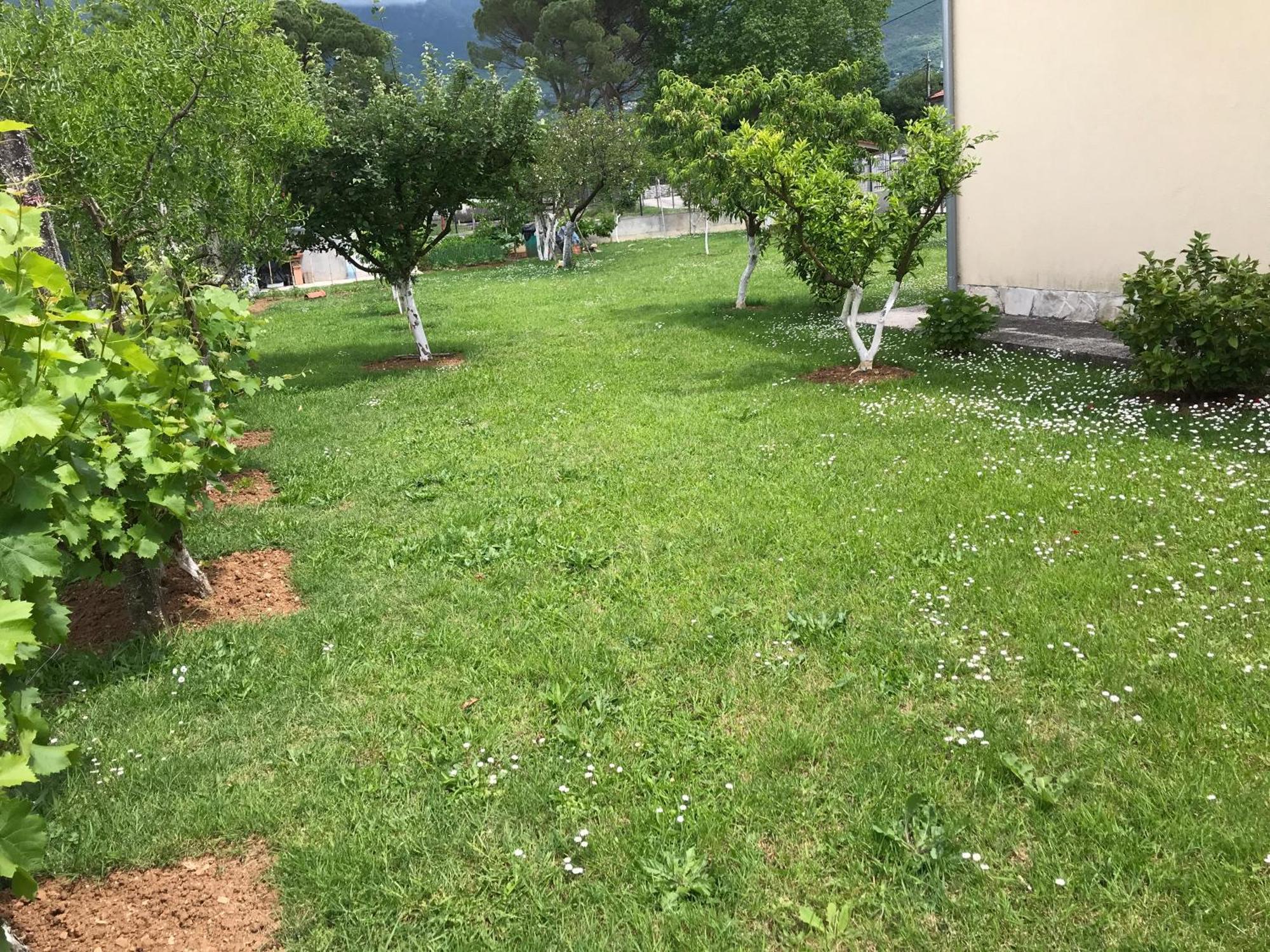 Apartment K2 Radanovići Esterno foto